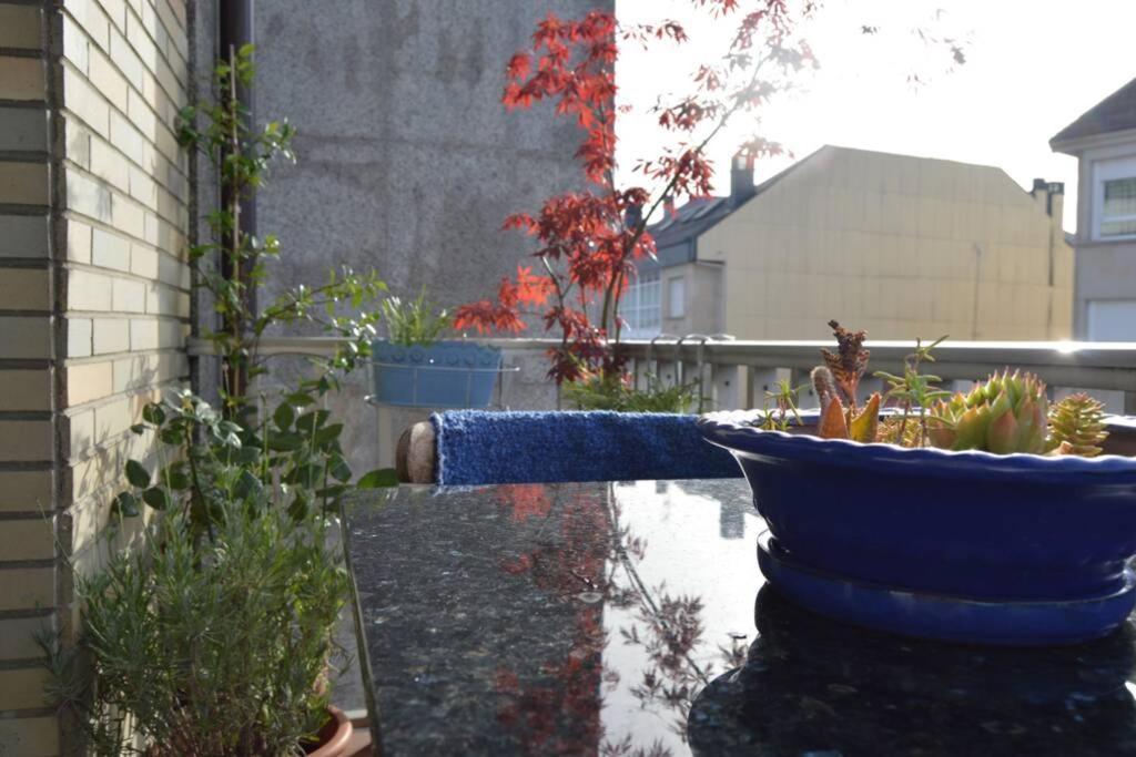 Amplio Y Luminoso Piso En El Centro De Ourense Eksteriør bilde